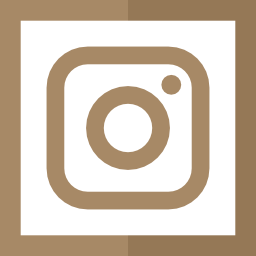 instagram Ícone