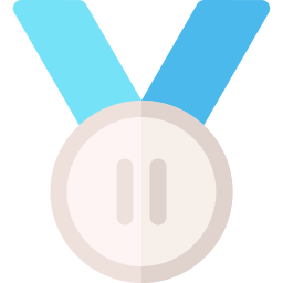 zilveren medaille icoon