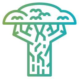 baobab ikona