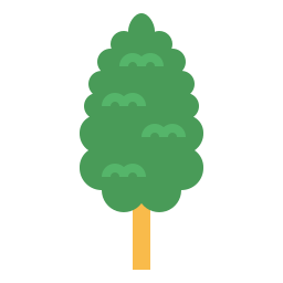 Cypress icon