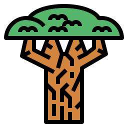 Baobab icono