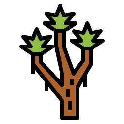 Joshua tree icon