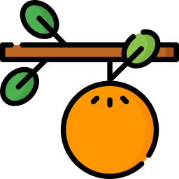 Fruta Ícone