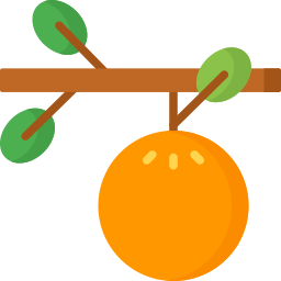 Fruit icon