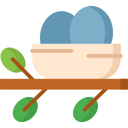 nest icon