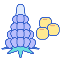 Lupin icon