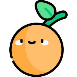 orange icon