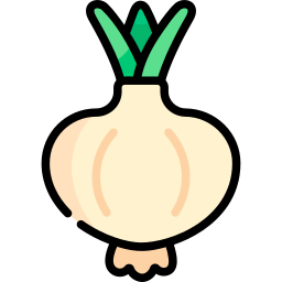Cebolla icono