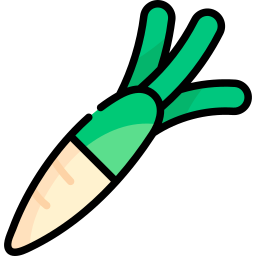 Radish icon