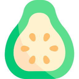 Guava icon