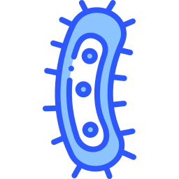 Bactérias Ícone