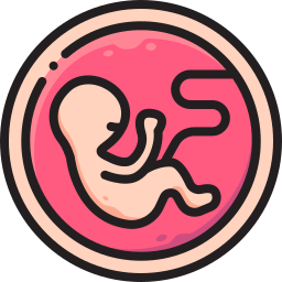 Embrión icono