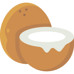 Coconut icon