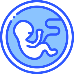 Embrión icono