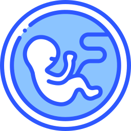 Embryo icon