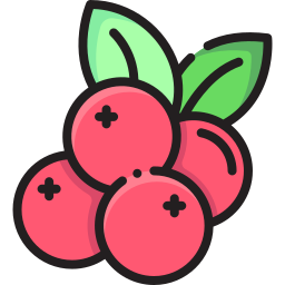 Cranberry icon