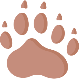 Footprint icon