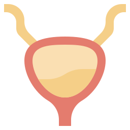 Bladder icon