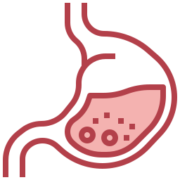 Stomach icon