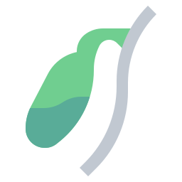 Gallbladder icon