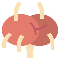 Lymph nodes icon