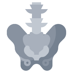 Pelvis icono