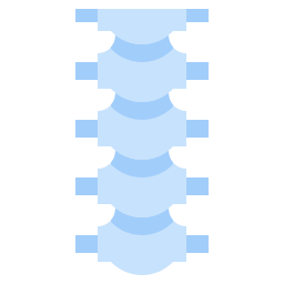Coluna vertebral Ícone