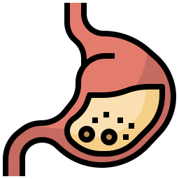 Stomach icon