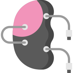 Bionic kidney icon