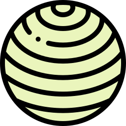 Gym ball icon
