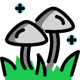 Mushrooms icon