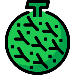 Cantalupo icono