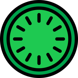 키위 슬라이스 icon