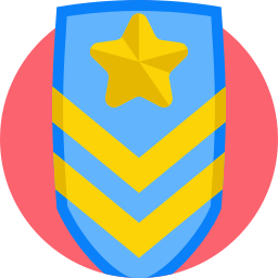 militaire rang icoon