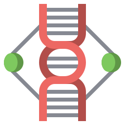 struttura del dna icona