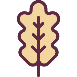 Oak leaf icon