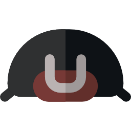 Beetle icon