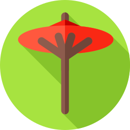 regenschirm icon