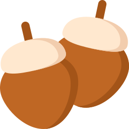 Acorn icon