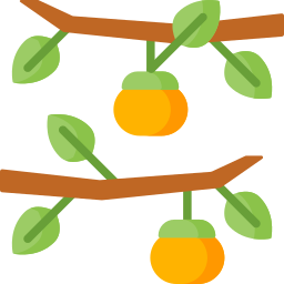 柿 icon