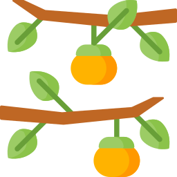 Persimmon icon