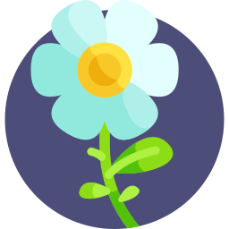 blume icon