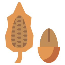 Cacao icon