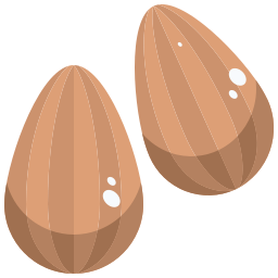 Almond icon