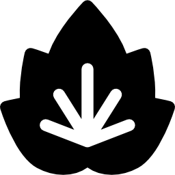 Leaf icon