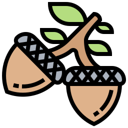 Acorn icon