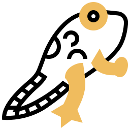 kaulquappe icon