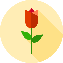 Тюльпан иконка