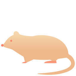 rato Ícone