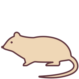 Rat icon